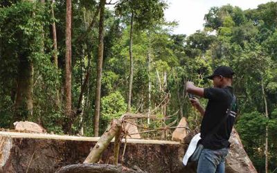 EMPOWERING COMMUNITIES, PREVENTING ILLEGALITIES, PROTECTING FORESTS