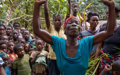 Congo residents of the rainforest fight against illegal deforestation