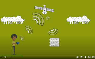 FORESTLINK: An animated overview of real-time monitoring