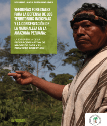 VEEDURÍAS FORESTALES PARA LA DEFENSA DE LOS TERRITORIOS INDÍGENAS Y LA CONSERVACIÓN DE LA NATURALEZA EN LA AMAZONÍA PERUANA: LA EXPERIENCIA DE LA FENAMAD CON EL SISTEMA DE ALERTA TEMPRANA FORESTLINK